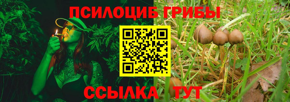 Мефедрон кристаллы  Вход с VPN  Гашиш  Купить наркотики  Кострома  Кодеин  Каннабис  ГАШ  Cocaine 