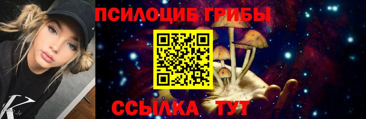 Галлюциногенные грибы прущие грибы Кострома
